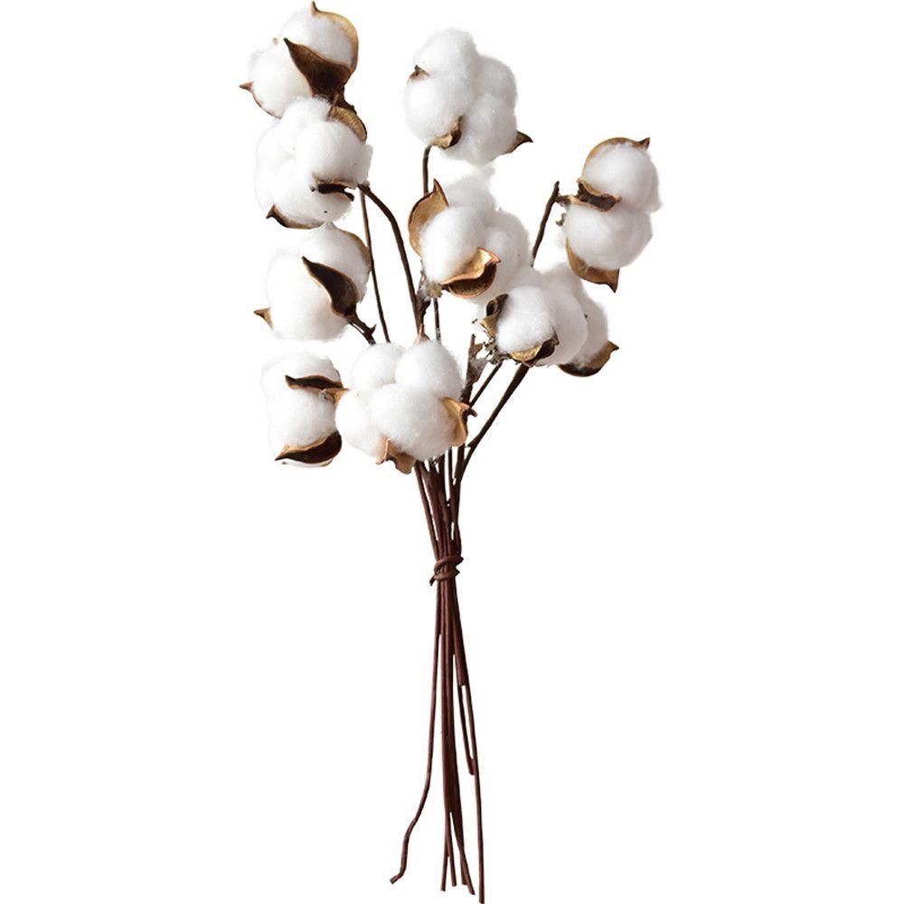 Natural cotton flower